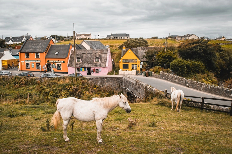 Classic Cliffs of Moher and the Burren: Day Trip with Private Vehicle from Dublin