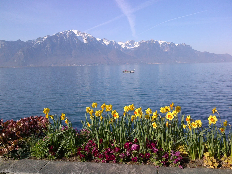 Cover media image