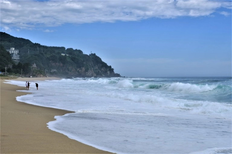 Cover media image