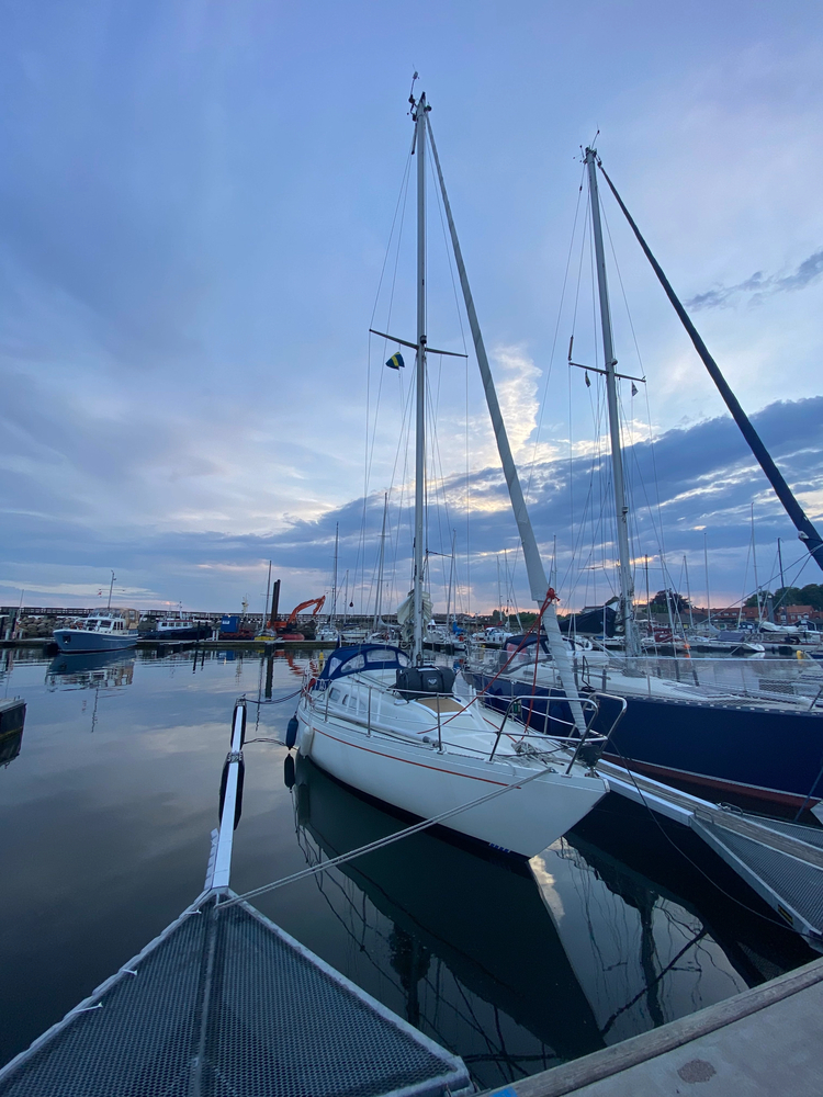 Cover media image