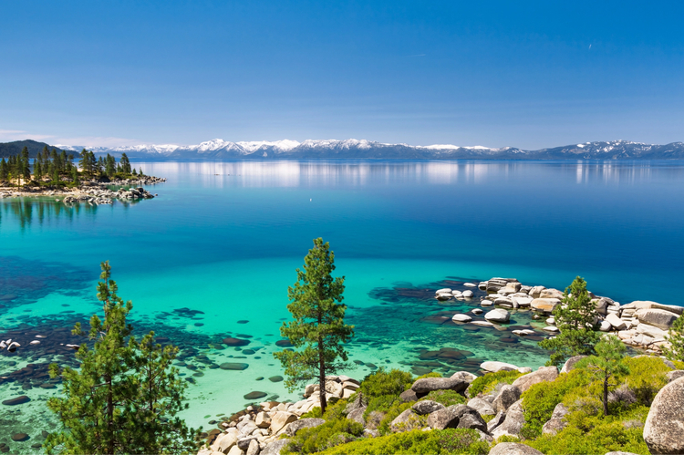 Cover media image