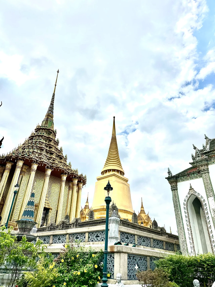 Cover media image