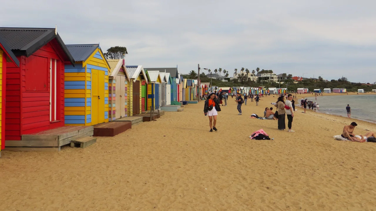 Cover media image