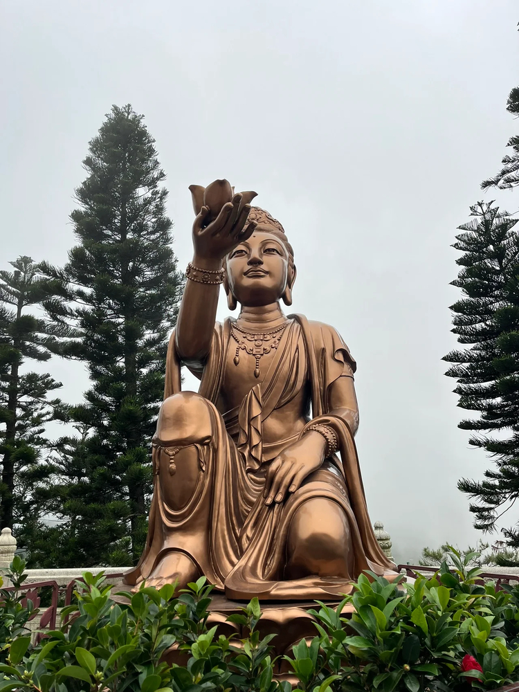 Cover media image