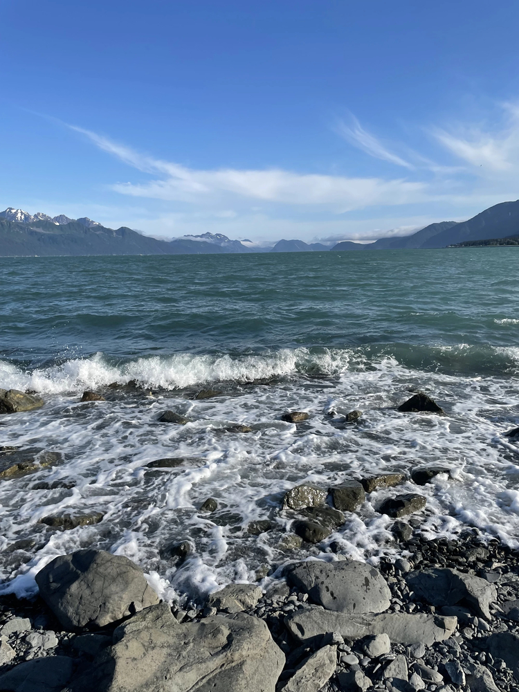Cover media image