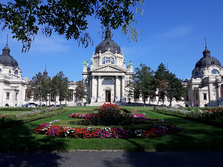 Cover media image