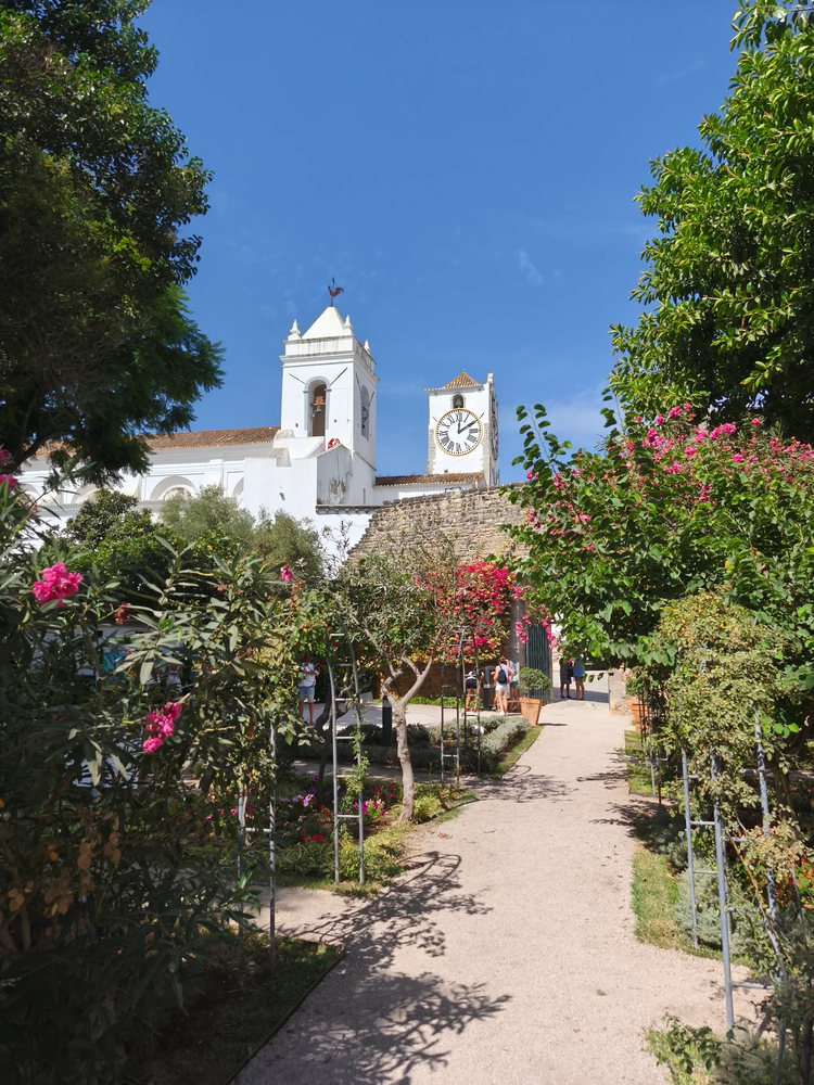 Cover media image