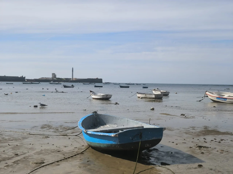 Cover media image