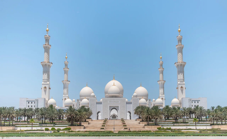 Cover media image
