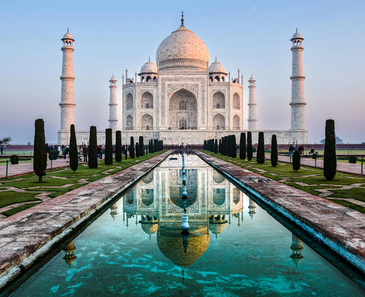 Cover media image
