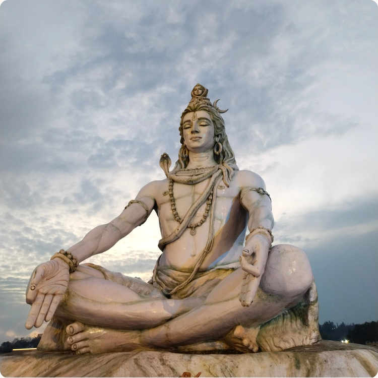 Cover media image