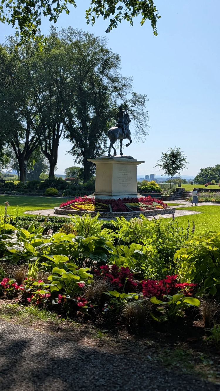 Cover media image