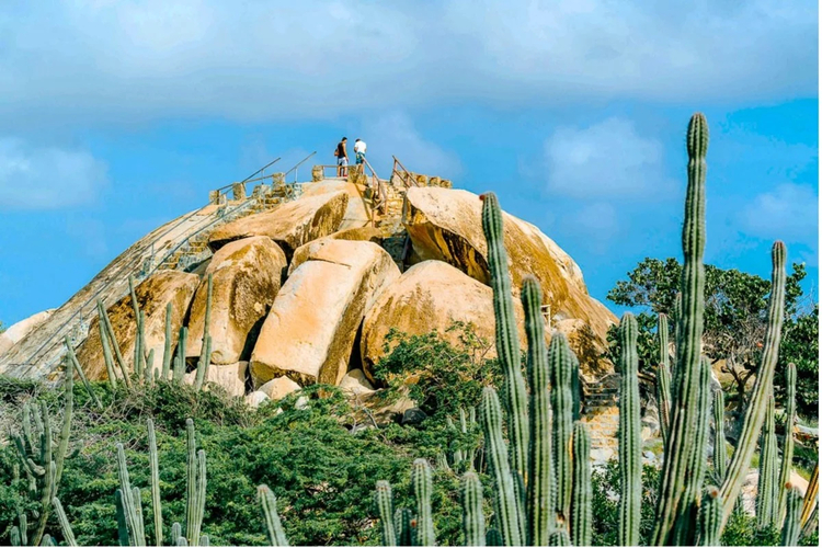 Cover media image