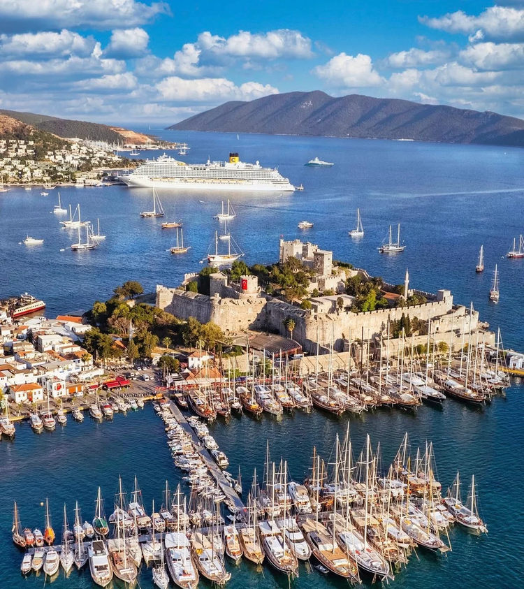 Cover media image