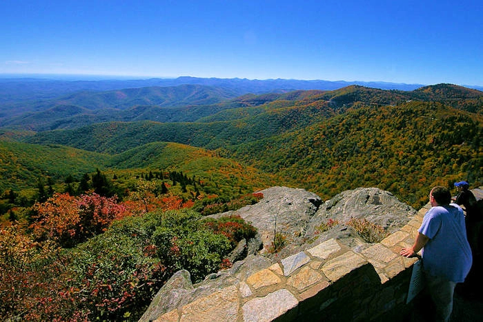 Cover media image