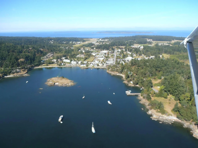 Cover media image