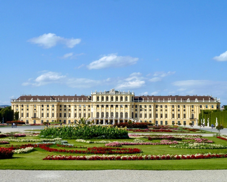 Complete Vienna: Full-Day Walking Tour Through the Neighbourhoods