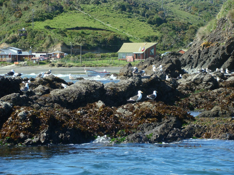 Cover media image
