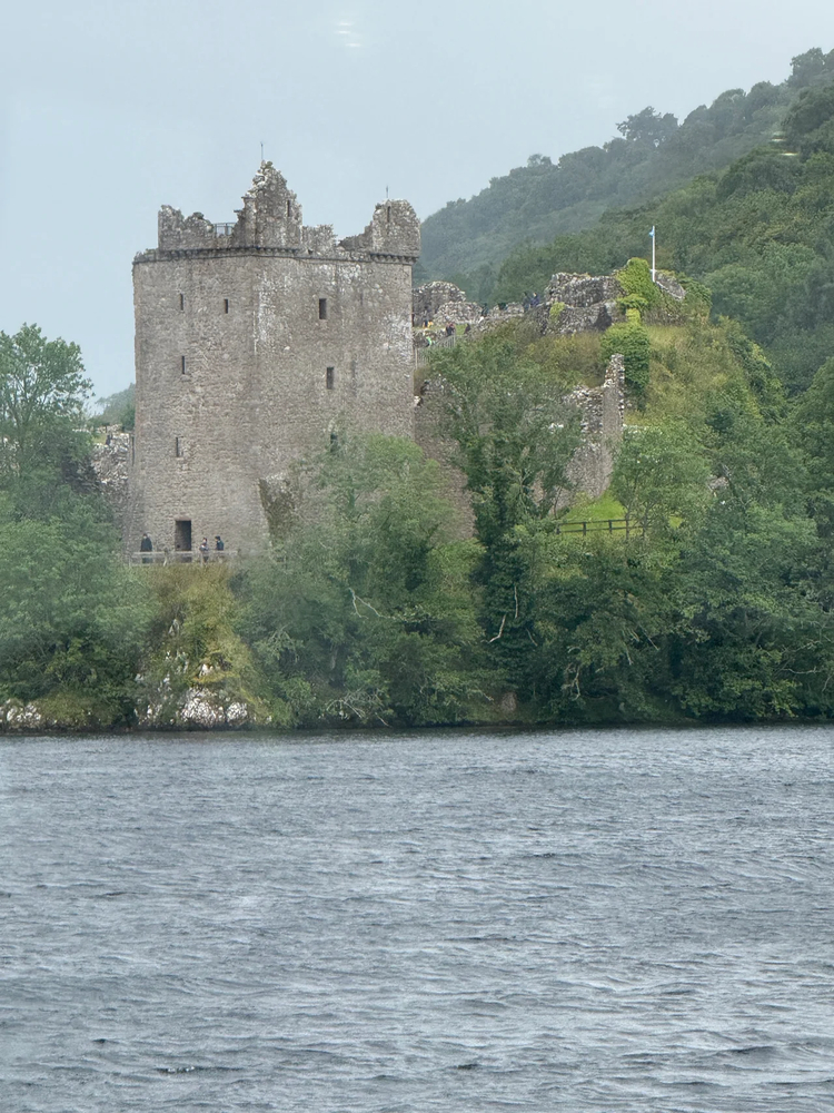 Cover media image