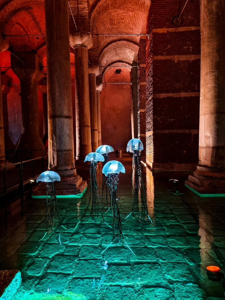 Cover media image