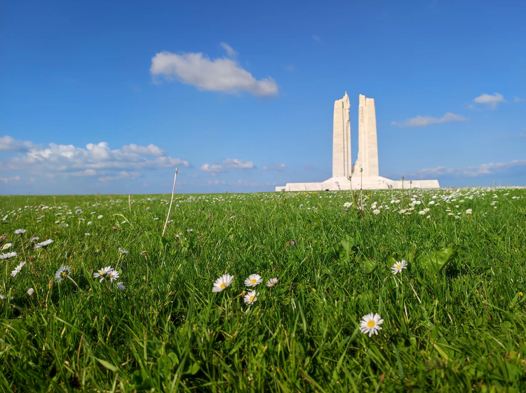 Cover media image