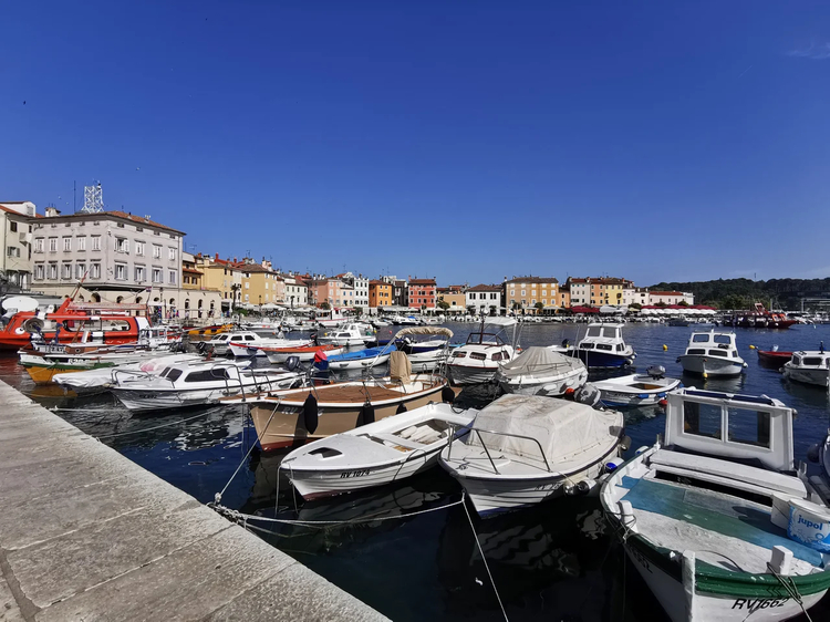 Cover media image