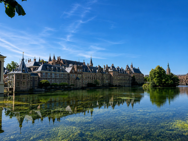 Cover media image