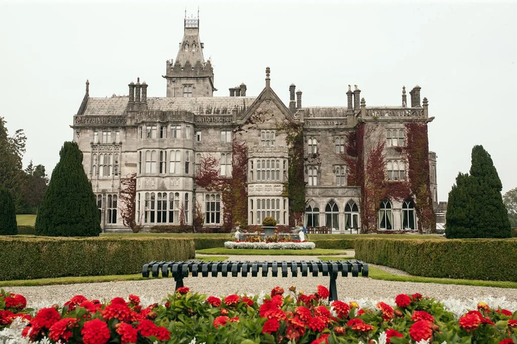 Cover media image