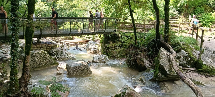Cover media image
