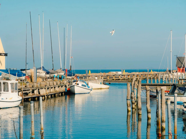Cover media image