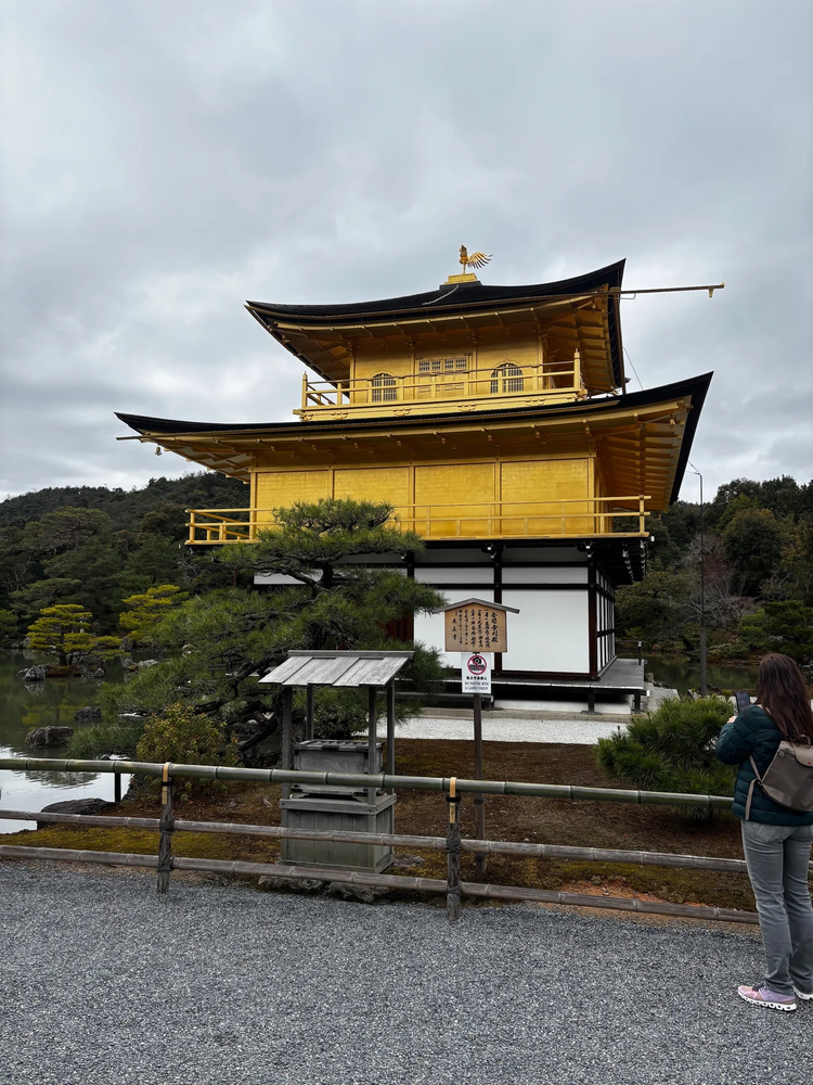 Cover media image
