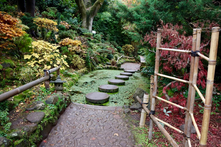 Cover media image
