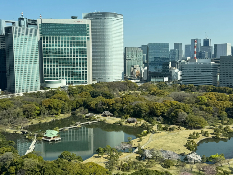 Cover media image