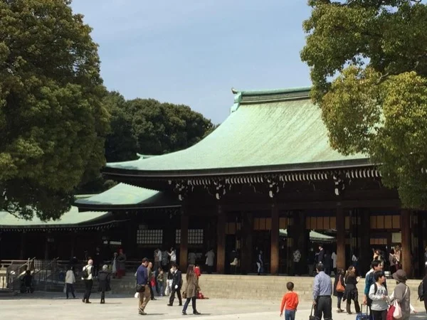 Highlights of exciting and interesting Tokyo - Layover tour from Narita Airport