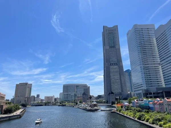 One Day Tour of Yokohama - Shore Excursion
