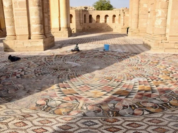Visit Jericho, the World's Oldest City