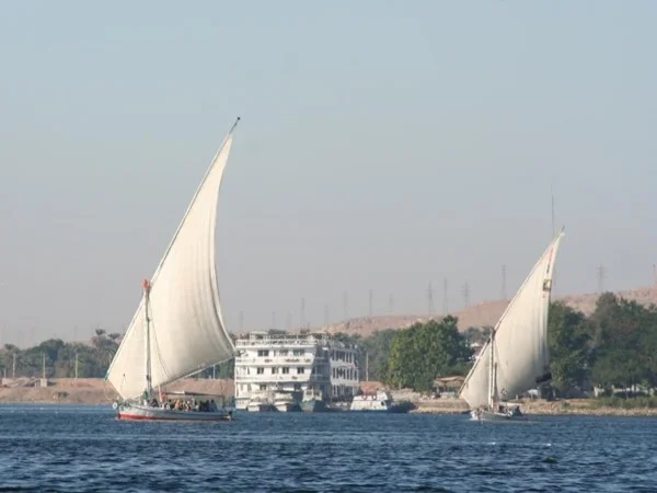 Felucca Sail boat trip