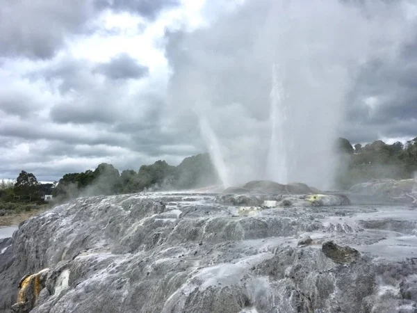 Rotorua - culture, gondolas and gardens!