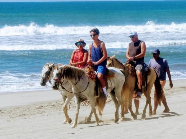 Paradise Beach Horseback Riding, Baby Turtle Release in Acapulco & Croc Farm Visit.