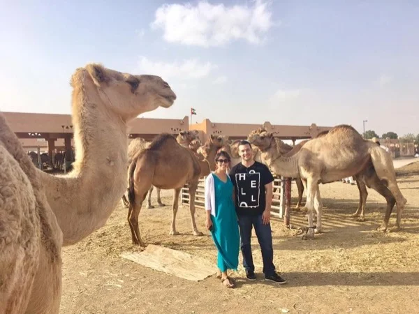 Dubai Airport Layover - 8hr private tour