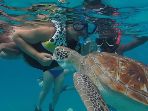 Barbados by Land & Sea