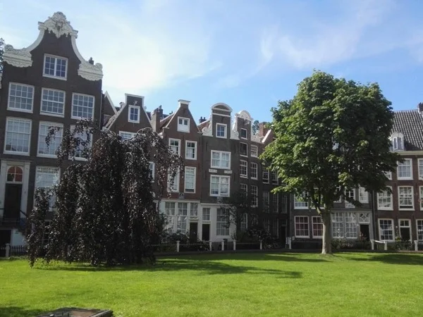 Amsterdam Layover Private Tour