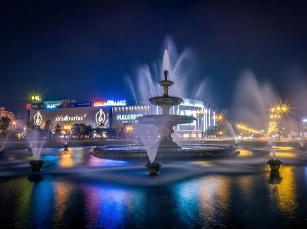 Day Trip to Bucharest from Constanta with a local guide
