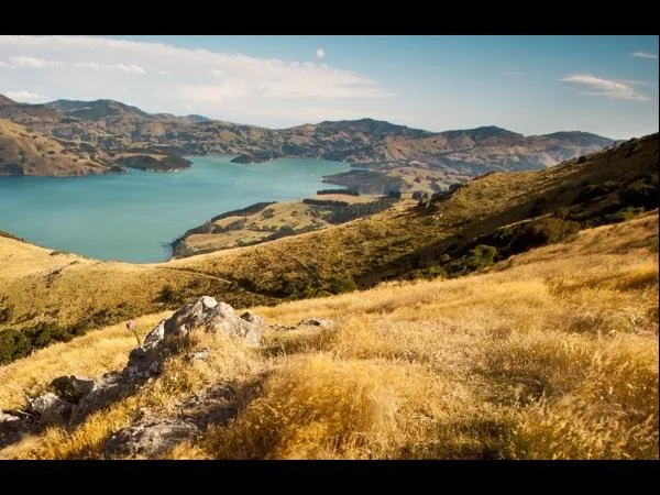 Christchurch Day Tour with Private Guide...ex Akaroa