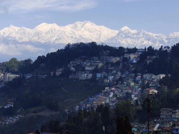Discover the magical tea plantation of Darjeeling