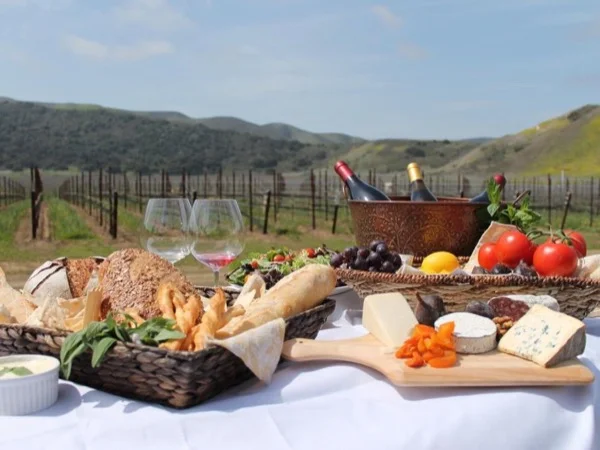 Solvang & Wine Tasting Tour of Santa Barbara Wine Country