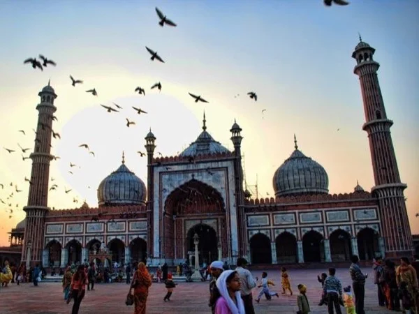 Delhi - Privately Guided Day Tour ( All Inclusive )