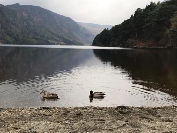 Wonderful County Wicklow - The Garden of Ireland