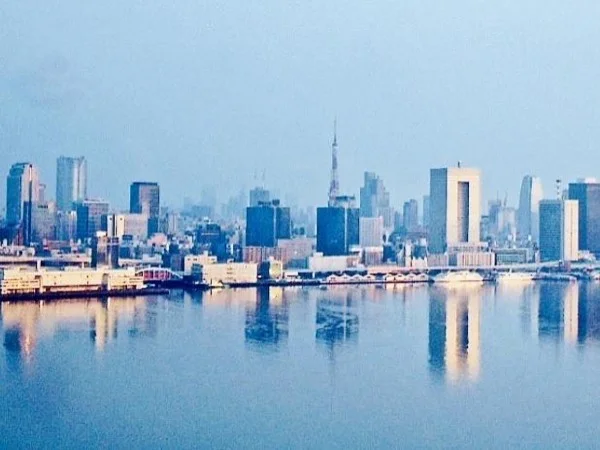 Tokyo: Contemporary Side 6-Hour Private Tour