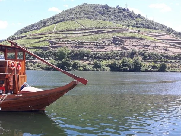 Douro Private Full Day Tour - A Day Trip From Porto